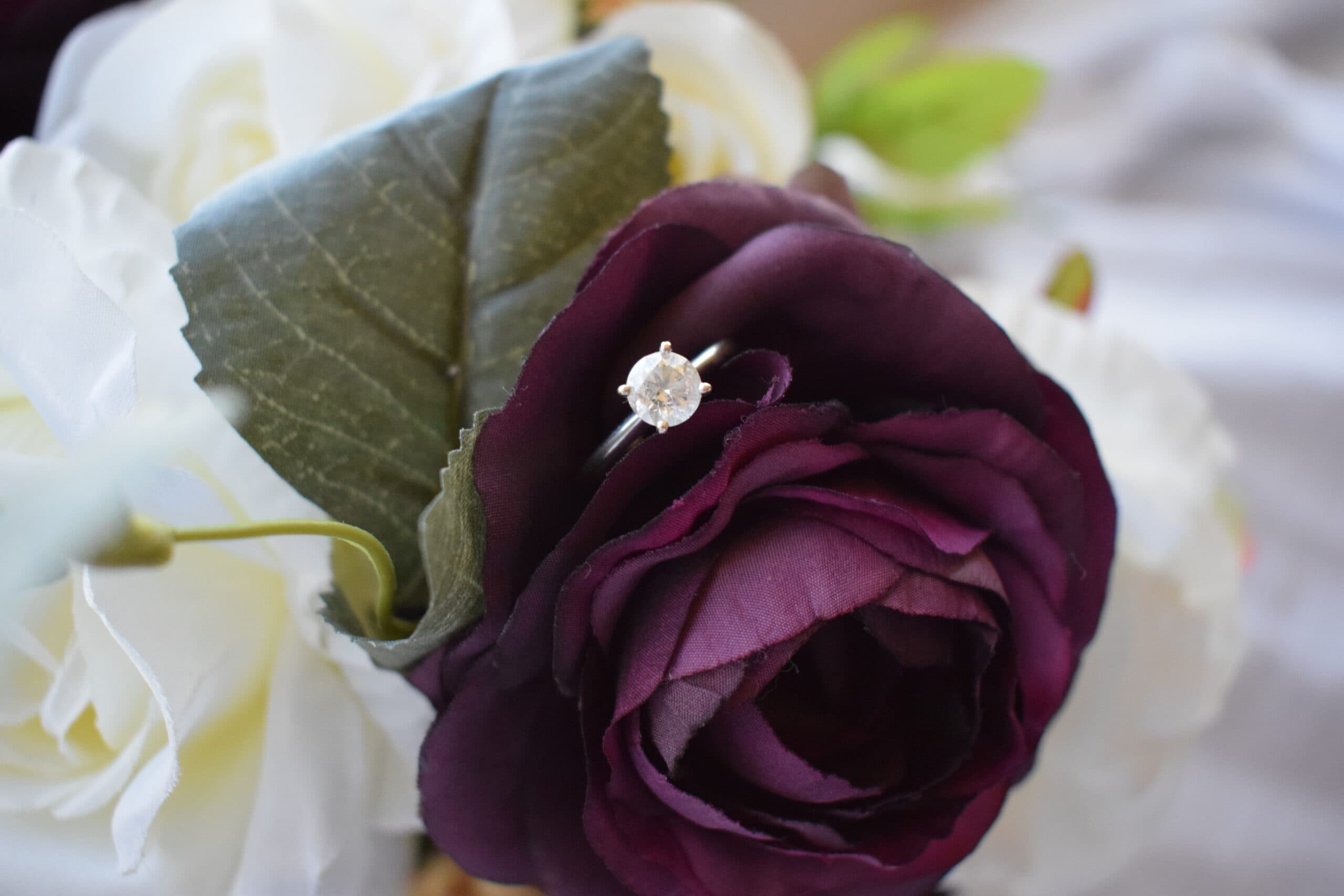 Diamond ring resting in a burgundy rose